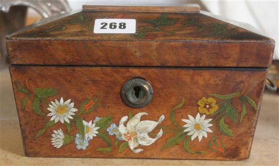 Victorian painted mahogany tea caddy